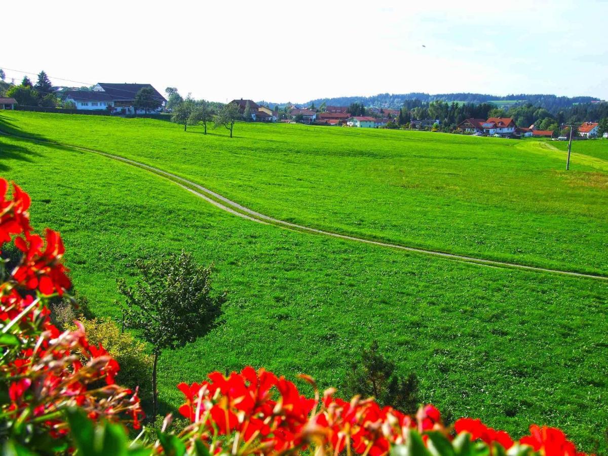 Hotel Allgaeu Garni Шайдегг Номер фото